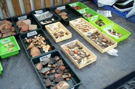 finds trays