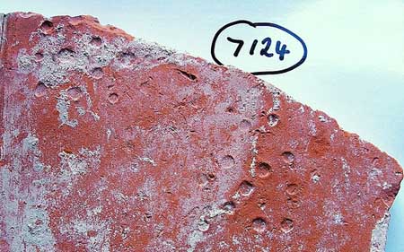 Hobnail shoe marks