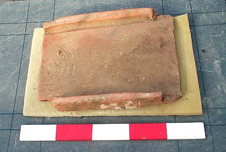 Tegula