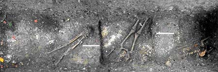 Skeletons