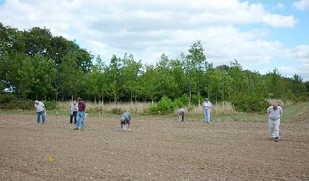 Fieldwalking
