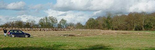 View of Site